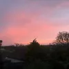 harrisonrbnv