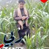 mukhtarali636