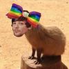 capybara.louie