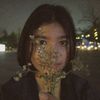 .hartatahtashinta