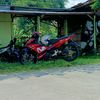 chealzisback