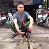 phphng63