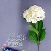 abdo56780