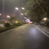 siusiu808