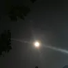 qnhu11026