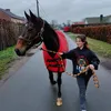 suzannecorluy