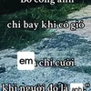 chip_bonq_520