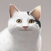 user280220008