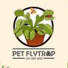 petflytrap