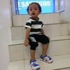 hariadiadibciptakarya