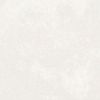 shone_3