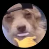 lol.memes.boi