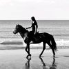 horsingwithdarya