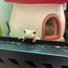 frogbertandco