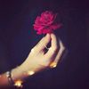 khalid.albaloushi