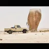 .2050654