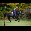 jane.eventing.games