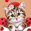 rose_9598