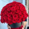 user_0001__