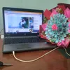 user453110thanh