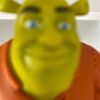 fiona.wen