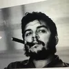 userpizn5tolo1
