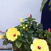 hoangphuongnguyen6