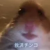 owplq0