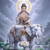 user834701068