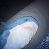 ray.jusvibinfrr