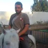 alaaabojheisheh