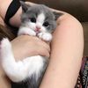 sebebi_gozlerin