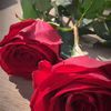 🎼_tt__b