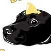 buddadog2020
