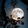 moonqueen.13