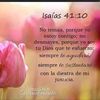 joss_mv7