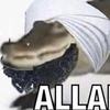 officalallahgator