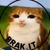 BRAK IT