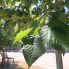 bejna_21_21_