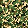 camo_27_