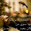 user3ignnk7xa4