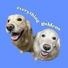 everything_goldens