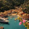 moustafa_helal