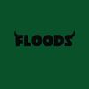 floods2flawed