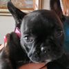 keep_it_pg.9898