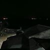 wong_unik238