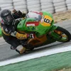taz_taylor6