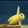 tini1213tiktok.com