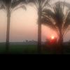 kitchendodo5