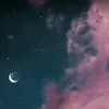 .tpwk.x_